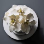 Juliette Cake design Orchidés